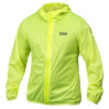 neon